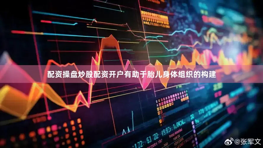 配资操盘炒股配资开户有助于胎儿身体组织的构建