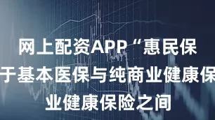 网上配资APP“惠民保应该介于基本医保与纯商业健康保险之间